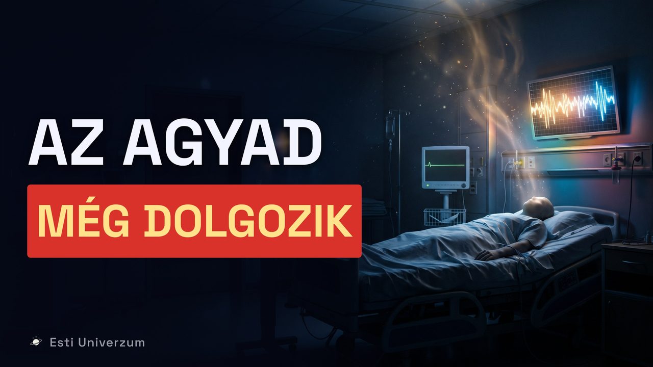 A rész borítóképe: Mi történik az agyadban, amikor meghalsz?