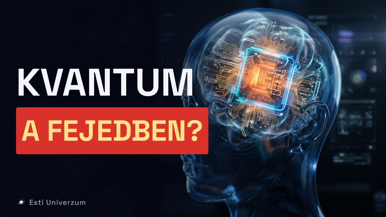 A rész borítóképe: Kvantumszámítógép működik a fejedben?